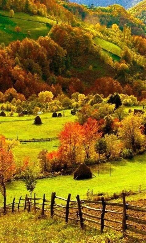 Image result for Fall Scenes Beautiful Nature