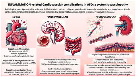 Inflammation, Oxidative Stress, and Endothelial Dysfunction in the ...