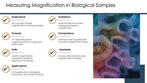 Image result for Magnification Equation Examples