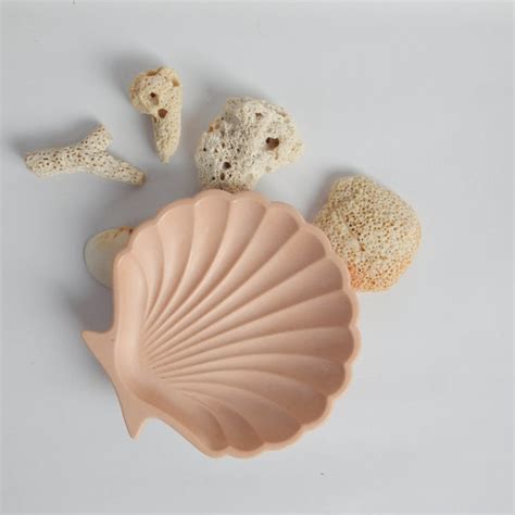 Shell Trinket Dish – Koyori Kollective
