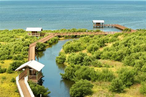 11 Best Things to Do in South Padre Island - What is South Padre Island ...