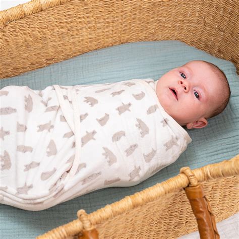 Aden And Anais Easy Swaddle at Liam Dun blog