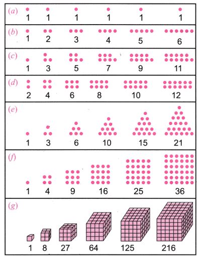 Patterns in Mathematics NCERT Solutions - Mathematics for Class 6 PDF ...