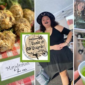 Wands & Wizards Kids Day at the Lancaster Farmers Market, 143 West ...