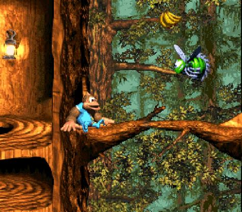 Galleria: Donkey Kong Country 3: Dixie Kong's Double Trouble
