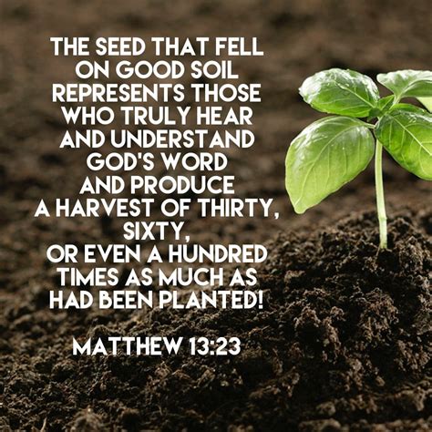 "The seed that fell on good soil represents those who truly hear and ...