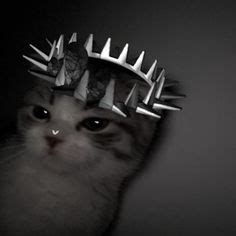 Image result for Rust Cat PFP