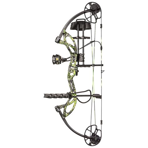 Best Compound Bow For Beginners at Skye Kinsella blog