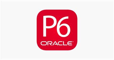 Image result for Oracle Primavera P6 Software Invoice