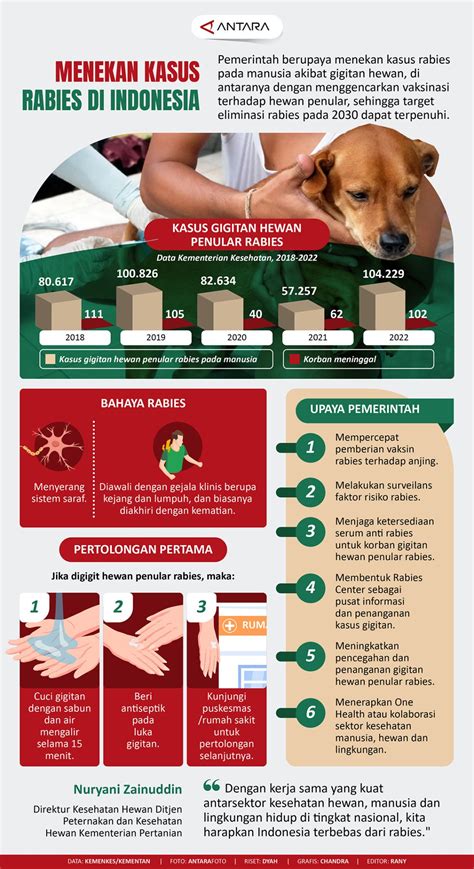 How Common Is Rabies In Indonesia