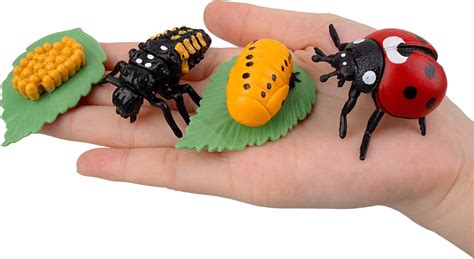 Toymany 16PCS Insect Figurines Life Cycle of Monarch India | Ubuy