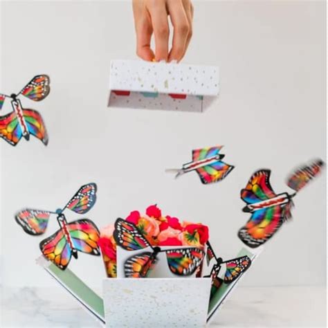 Image result for Exploding Box of Butterly