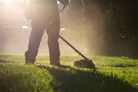 How Much Does Sod Installation Cost? | Landscape Experts