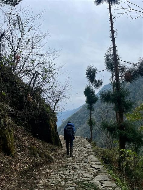 Complete Sandakphu Trek Guide with Route Map & Travel Tips