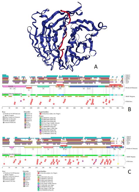 Intrinsic Disorder of the BAF Complex: Roles in Chromatin Remodeling ...