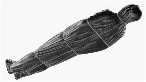 Covered Dead Bodies Collection 3D Model $59 - .3ds .blend .max .fbx ...