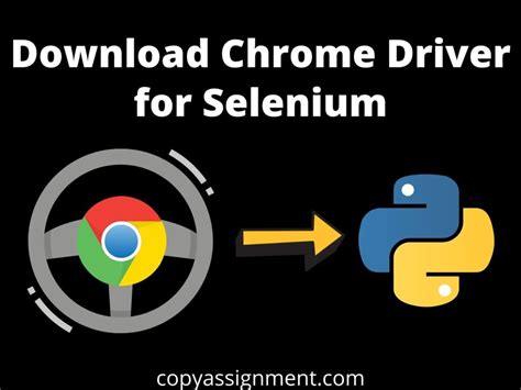 How to Install Chrome Driver for Selenium in Java 的图像结果
