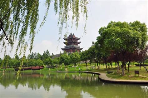 上海世纪公园好玩吗,上海世纪公园景点怎么样_点评_评价【携程攻略】