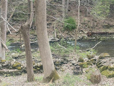 Tymor Park Loop - New York | AllTrails