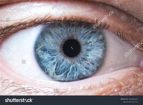Gunmetal Blue Eye Color