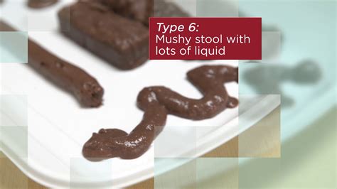 Image result for Poop Out of a Tree