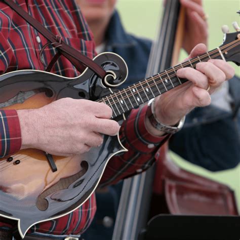 Image result for Mandolin Tuning Notes