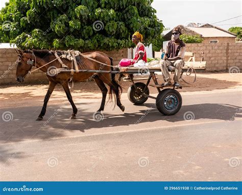 Local Transport of People with Donkey and Horse Cart in Cities ...