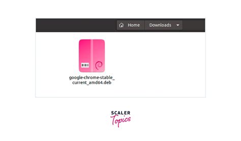 Image result for What Is Deb