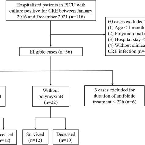 CRE Prevention Fun Learning 的图像结果