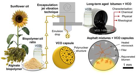 Optimised Sunflower Oil Content for Encapsulation by Vibrating ...