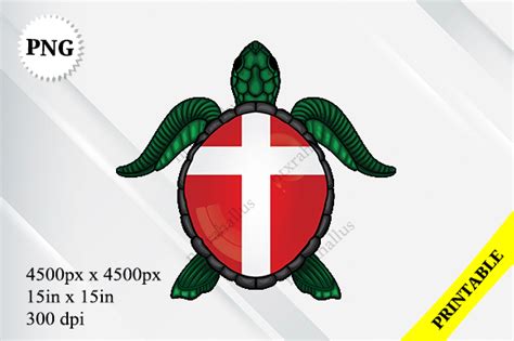 Image result for Poland Flag Python Turtle Code