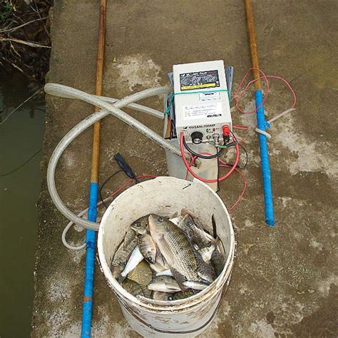 Beacon Pet 12V Battery Ultrasonic Electro Fisher Fishing India | Ubuy