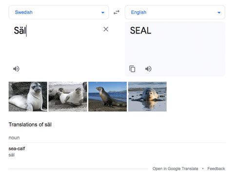 Image result for Tips Good Translation