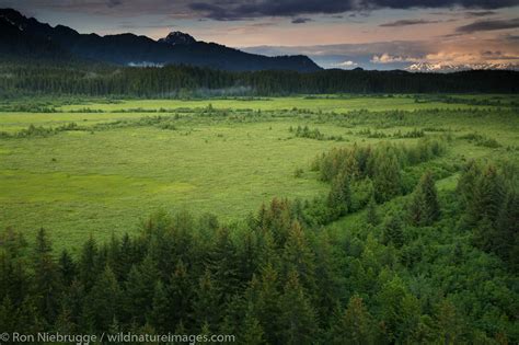 Copper River Delta | Photos by Ron Niebrugge