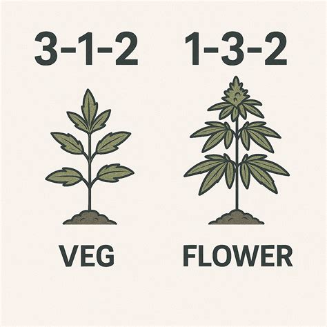 NPK Ratios Explained: Understanding Cannabis Nutrition Needs