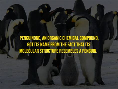 Image result for Appropriate Random Facts