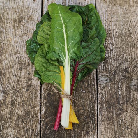 Swiss Chard - Rainbow Mix - Premier Seeds Direct