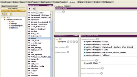 Protege SPARQL Query 的图像结果