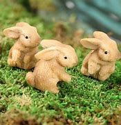 Image result for Scottish Mini Bunnies