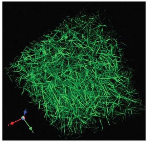 Image result for Fibrinogen Structure