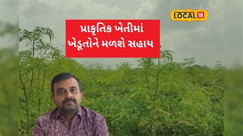 પ્રાકૃતિક ખેતીની સહાય યોજના વિશેષ જાણો - Learn more about the Natural ...