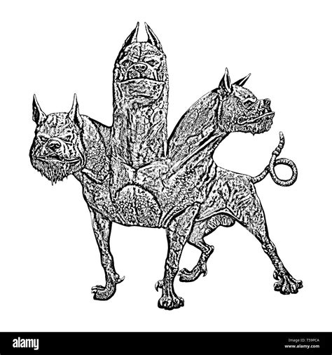 Multi headed dog Cerberus illustration. Hound of Hades. Greek mythology ...