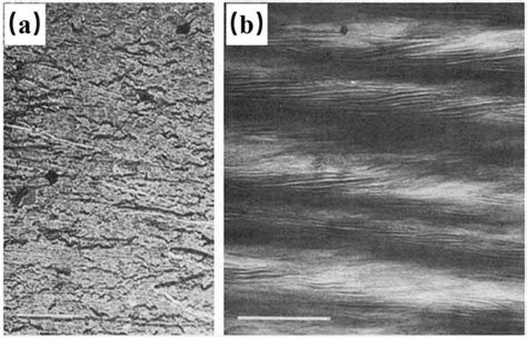Review on Crystallization Strategies for Polymer Single Crystals
