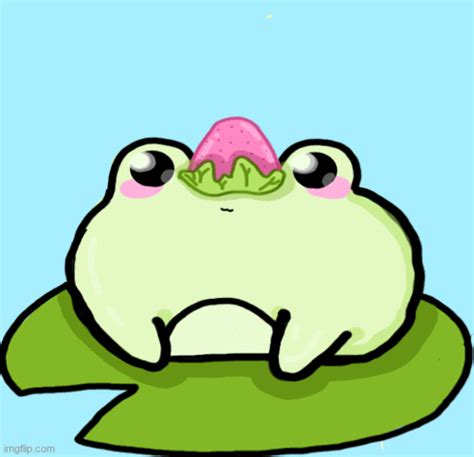 Image result for Frog Math