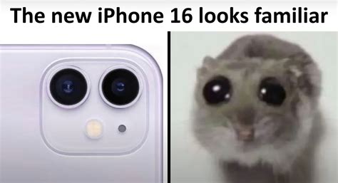 Die 30+ besten Kamera-Memes - Schlechte Witze