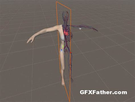 Image result for Unity Camera Culling Mask