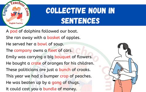 100 Examples Of Collective Nouns In Sentences