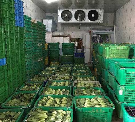 水果蔬菜保鲜库-无锡长清制冷设备有限公司