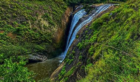 கொடைக்கானலில் அருவியில் மூழ்கி உயிரிழந்த இரு இளைஞர்களின் உடல்கள் மீட்பு ...