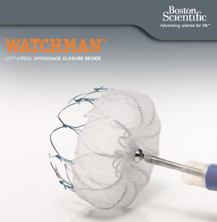 Image result for Video Watchman Device.com